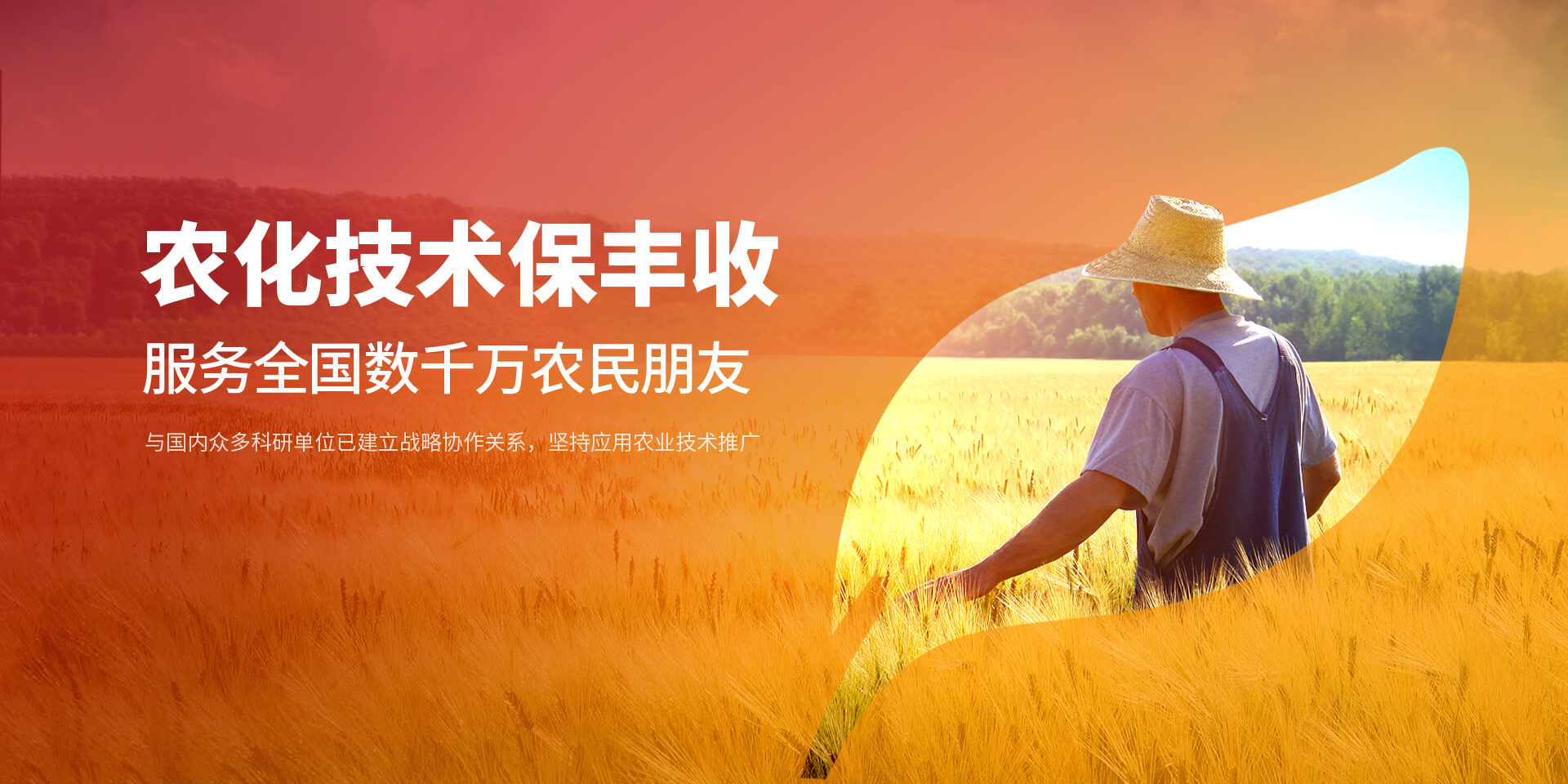 安陽久久99九九精品久久久久蜜桃新肥科技有限公司