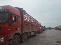 今天的久久99九九精品久久久久蜜桃